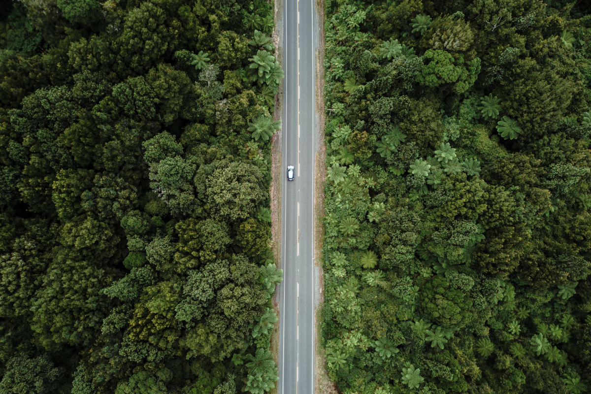 木の枝で車に傷がつく理由とは？