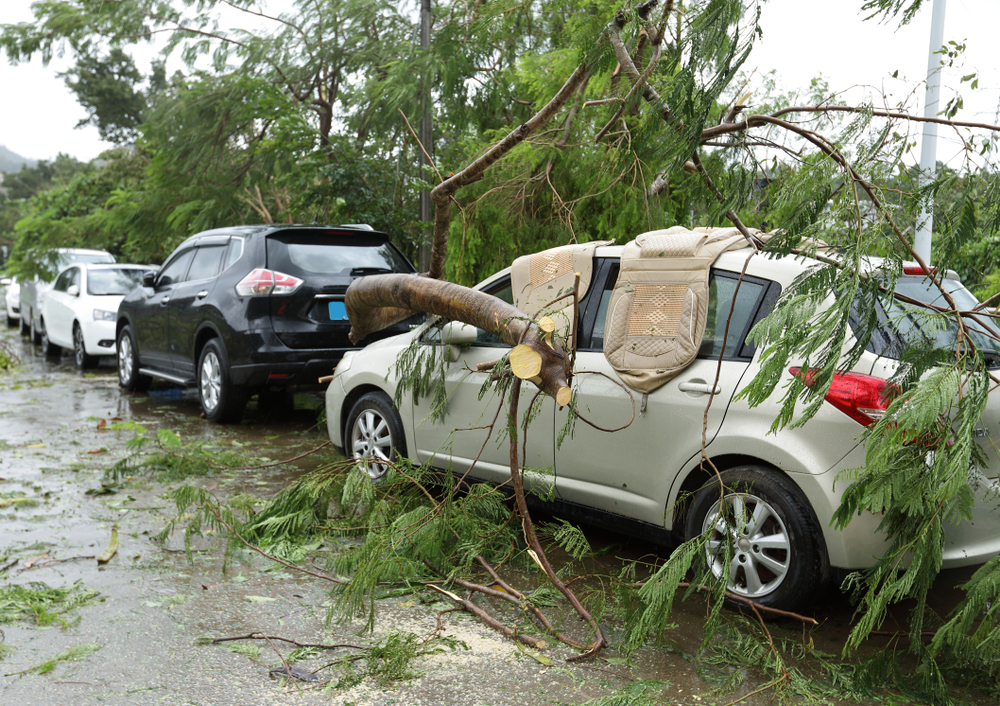 台風で車が被害を受けたら、車両保険は使える？